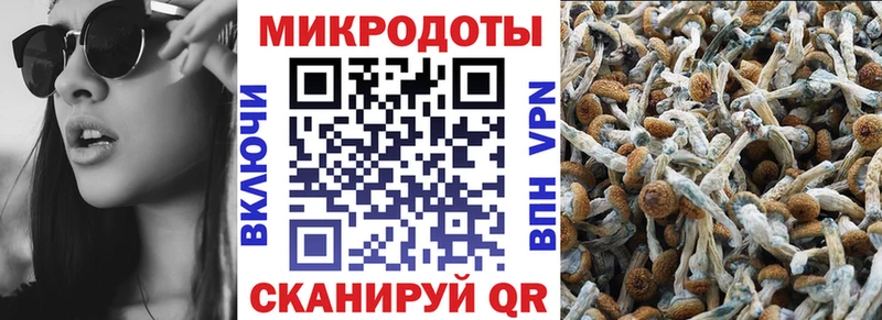 Псилоцибиновые грибы прущие грибы  продажа наркотиков  Гаврилов Посад 